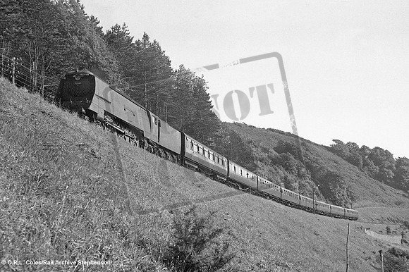 34028 1950 Ilfracombe