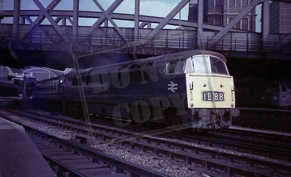 D1019 1972-07-12 Paddington