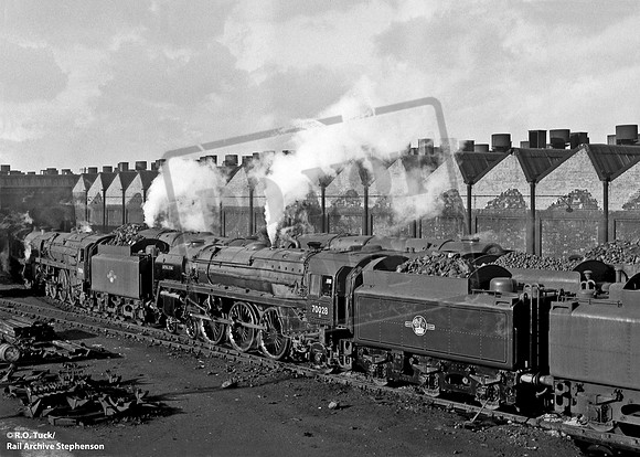 70028 1960-11-19 Cardiff Canton