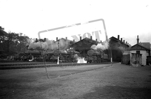 43032 45274 41245 44847 1955-10-16 Millhouses shed