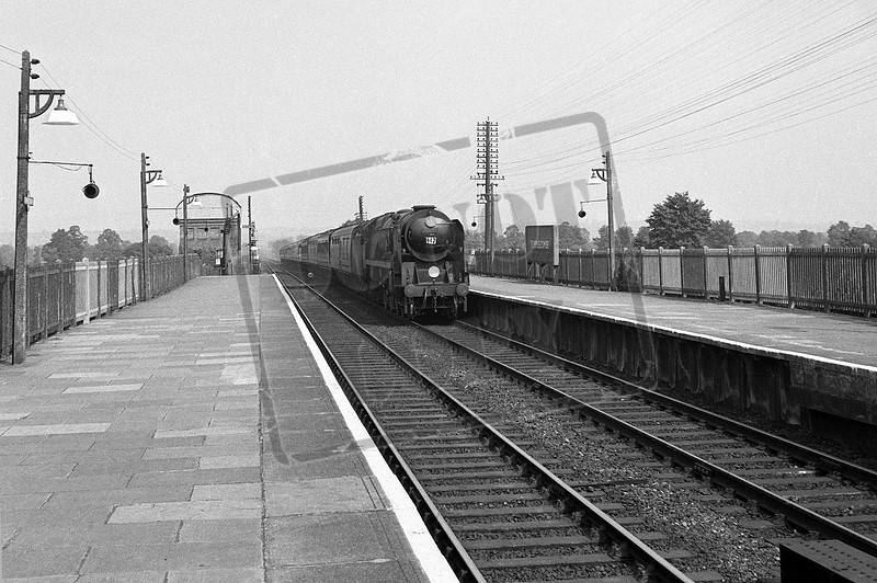 Rail-Online | Merchant Navy 4-6-2 | 35017 1959-08-08 Templecombe Upper