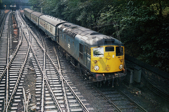 5325 1973 Princes Street Gardens