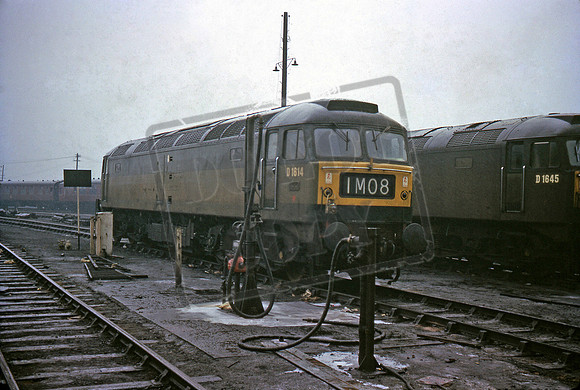 D1614 1966-01-16 Old Oak Common