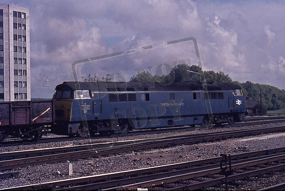 D1001 1976 Reading