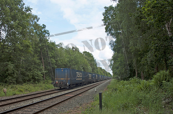 66031 2025-06-06 Sutton Park