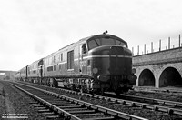 10001 1950c Rugby