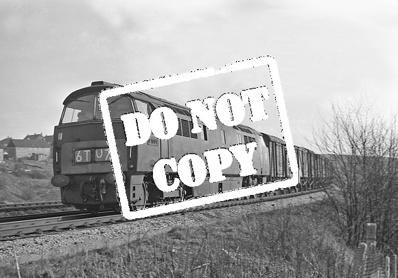 D1007 1965-03 Ashley Down Bristol