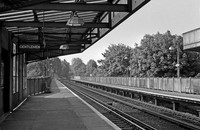 Bingham Road 1963