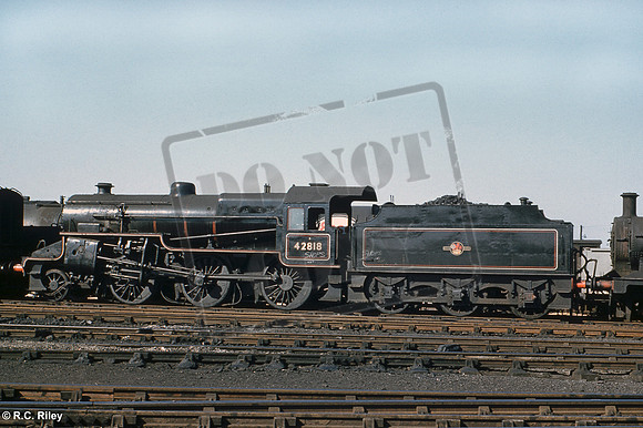 42818 1959-05-24 Derby shed
