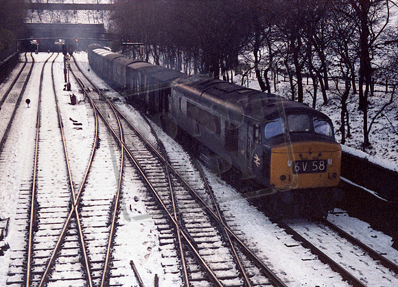 157 1973 Princes Street Gardens