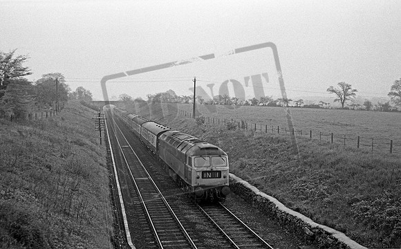 1774 1969c East Anglia where?