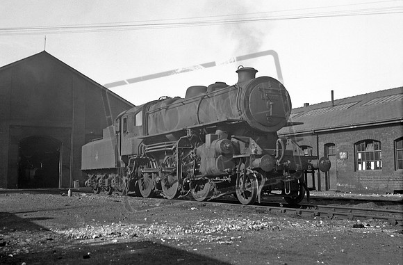 43079 1950s Hull Botanic Gardens