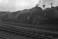 60505 1956 New England-ROneg-603