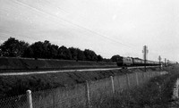 D825 1966-07-02 Worting Junction-ROneg-1704-182