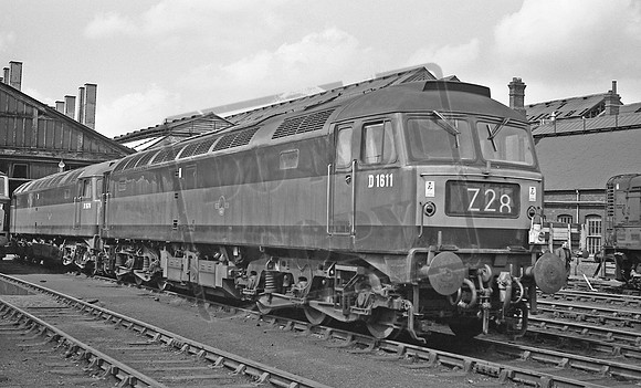 D1611 1965-05 Swindon shed