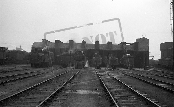 Shed 1954-10-31 Hornsey-ROneg-1901-205-107