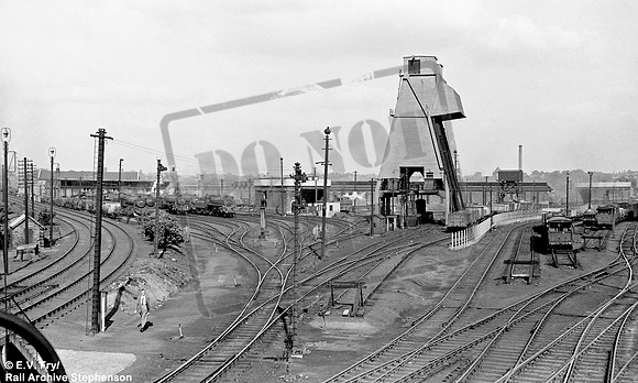 Shed 1954 Patricroft