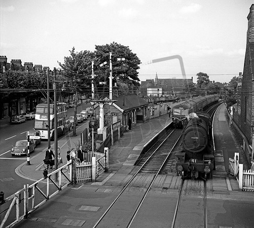90078 1950s Botanic Gardens Hull