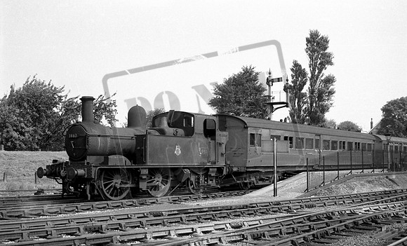 1463 1954-08-22 Yatton