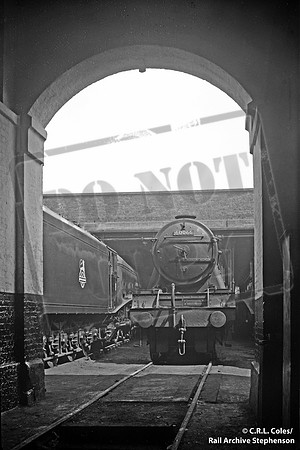 60066 1954-05 KIngs Cross shed