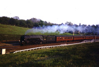 60130 1960s Hadley Wood-ROS-1371-003b
