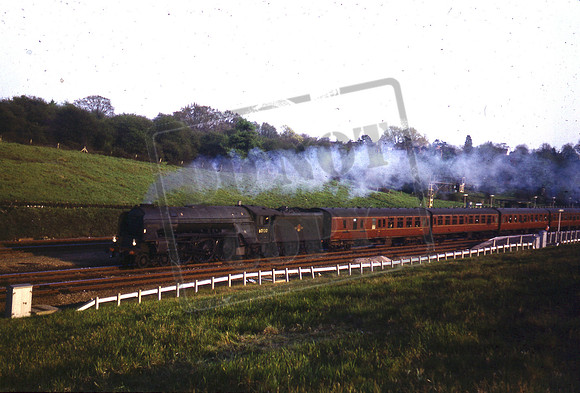 60130 1960s Hadley Wood-ROS-1371-003b