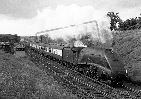 60017 1955 Highdyke