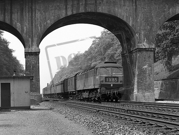 D1685 1964 Sonning Cutting