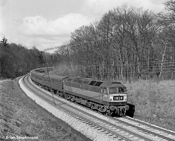 D1948 1967-03-31 Shap, Thrimby Woods