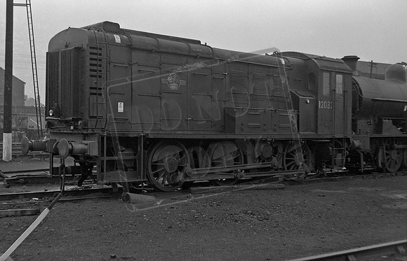 12032 1960s Springs Branch