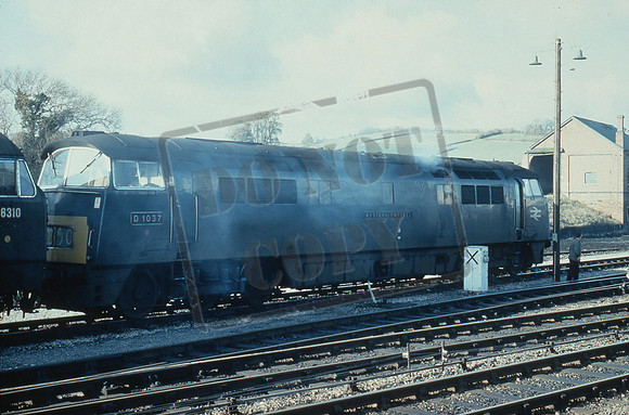 D1037 1967-11-24  Exeter