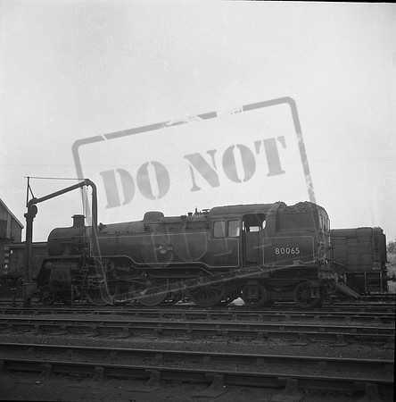 80065 1960s-ROneg-033
