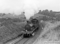 30583 1960c where on Lyme Branch ?