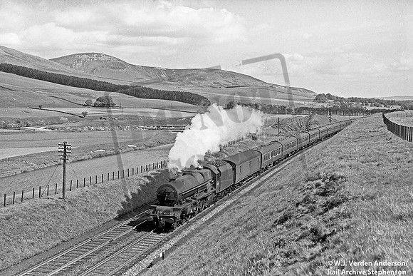 46209 1950s Lamington