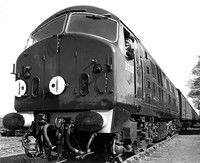 D6100 1959-03-13 Royston