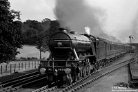 1472 1923 Greenwood