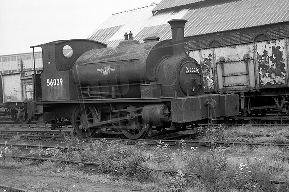 56029 1963-07-31 Kipps