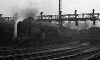 60500 1961-12-03 New England-ROneg213-5