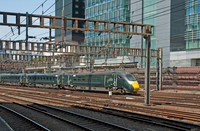 800017 2025-06-16 Paddington