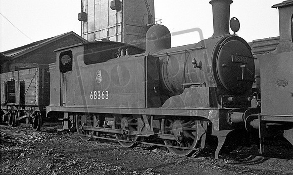 68363 1957-04-13 Hull Botanic Gardens