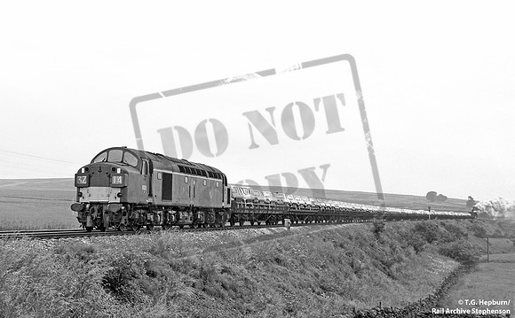 D332 1964 Shap