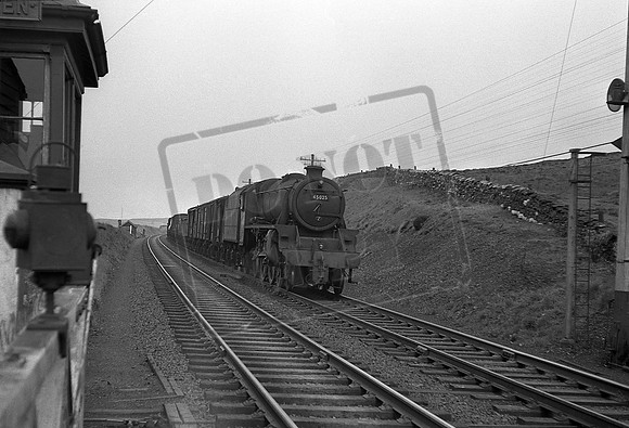 45025 1962-05-17 Scout Green