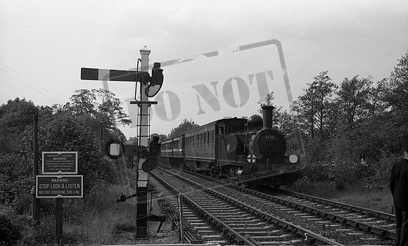 2650 1961c Bluebell-ROneg-1512-290