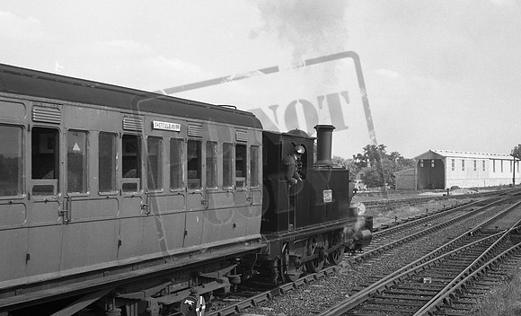 2650 1961c Bluebell-ROneg-1512-275