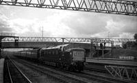 DP2 1962 Stafford