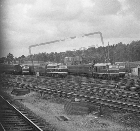 D56xx 1960-08-29 Finsbury Park sidings-ROneg-1912-041