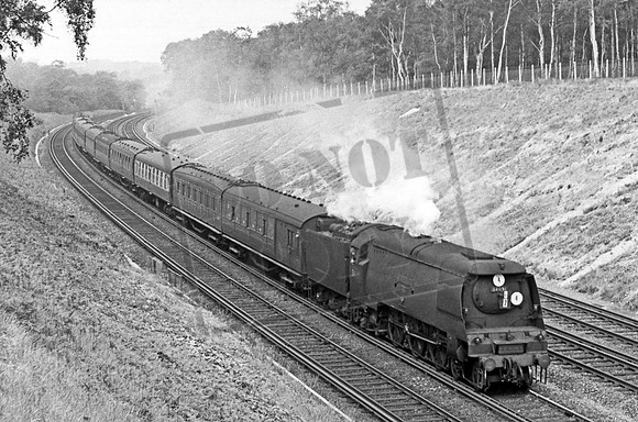 34091 1960-07-03 Petts Wood