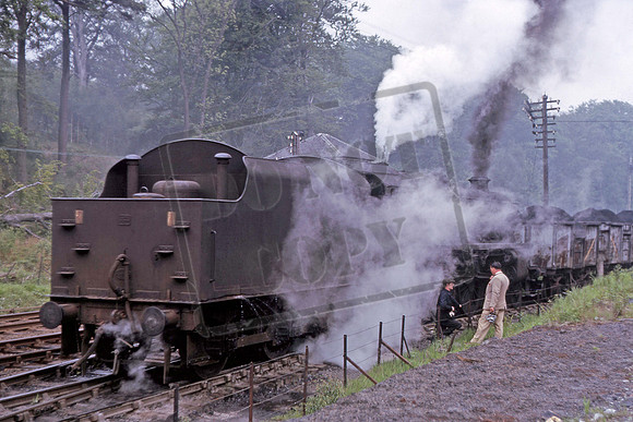 45161 1965-08 Bargany near Girvan