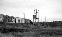 Signals