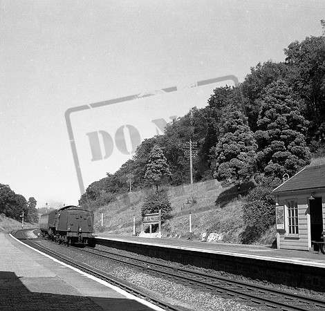 Hall 1950s Burlescombe